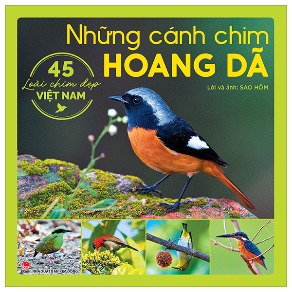 Sách Những Cánh Chim Hoang Dã - 45 Loài Chim Đẹp Việt Nam - Việt Chi
