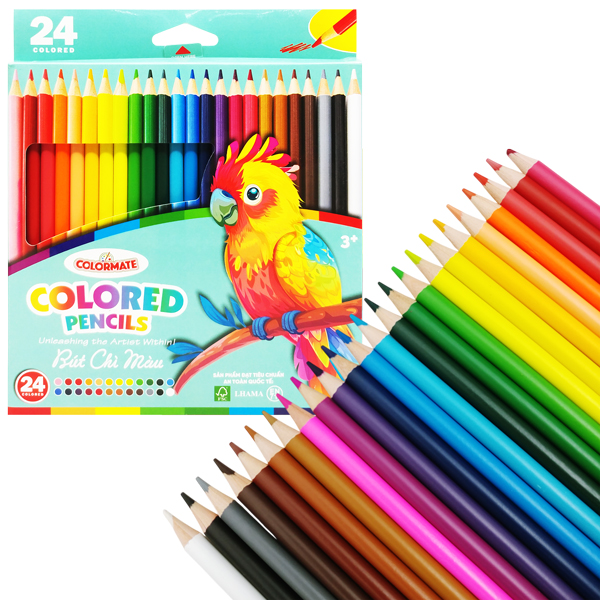 Hộp 24 Bút Chì Màu - Colormate 114568