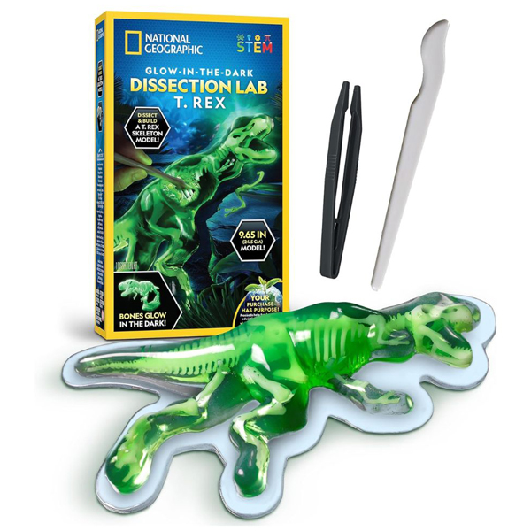 Đồ Chơi Giáo Dục Steam - Nat Geo Bộ Giải Phẫu T-Rex Phát Sáng Trong Đêm - National Geographic RTNGTREXLAB