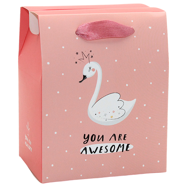 Túi Hộp Nhật Số 2 THN2-ORI - Mẫu 8