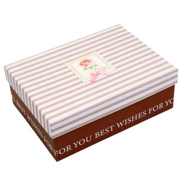 Hộp Quà Cao Cấp Có Nơ - Nắp Rời - Size 25 x 18 x 9 cm - Linh Lan N251809ORI-N3 - Mẫu 16