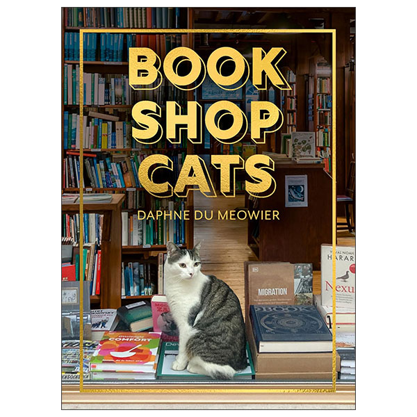 Bookshop Cats - Hardback
