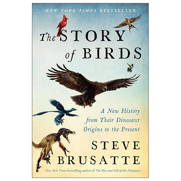 The Story Of Birds