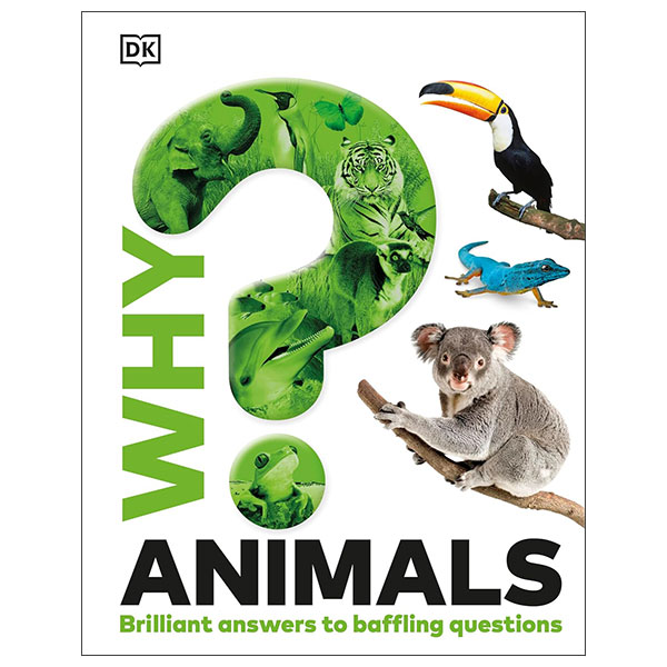 Why? Animals - Hardback
