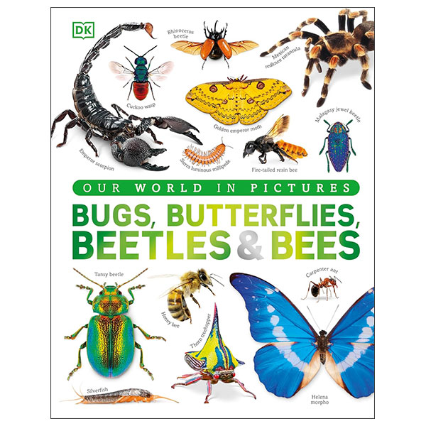 Butterflies, Beetles And Bees - Hardback