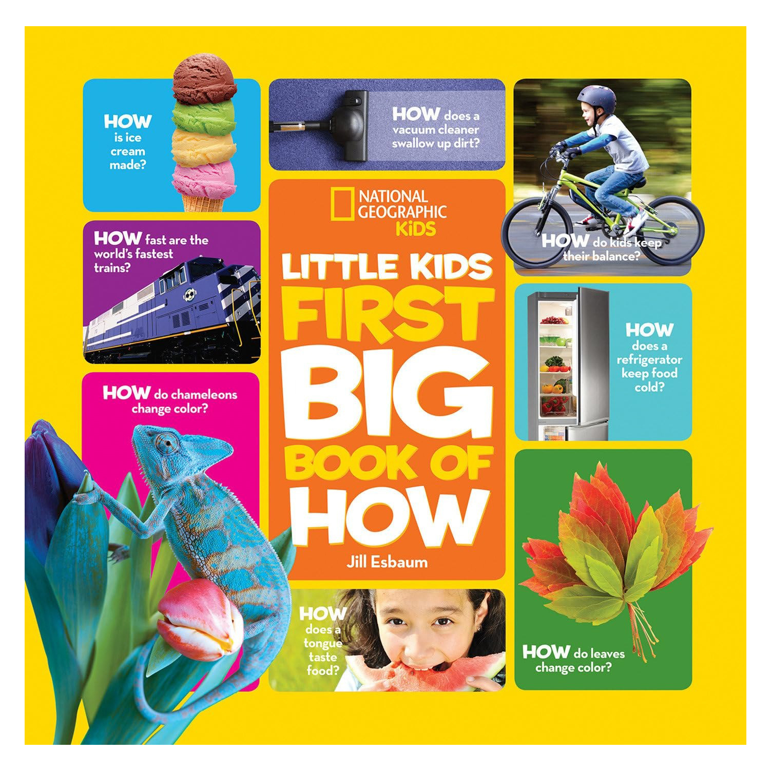 First Big Book of How (New Release)