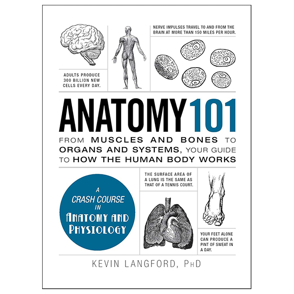 Anatomy 101 - From Muscles And Bones To Organs And Systems, Your Guide To How The Human Body Works