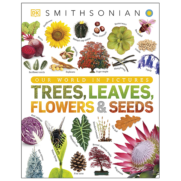 Trees, Leaves, Flowers And Seeds: A Visual Encyclopedia Of The Plant Kingdom