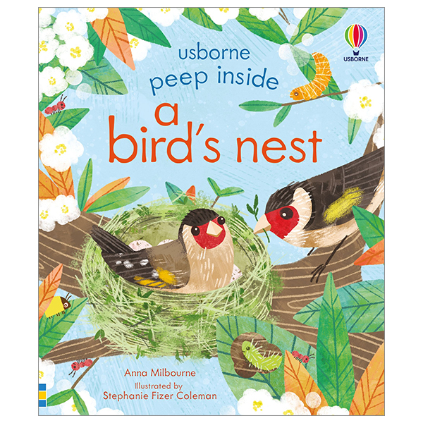 Peep Inside A Bird's Nest