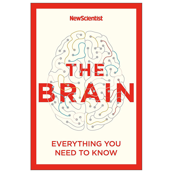 The Brain - Everything You Need To Know