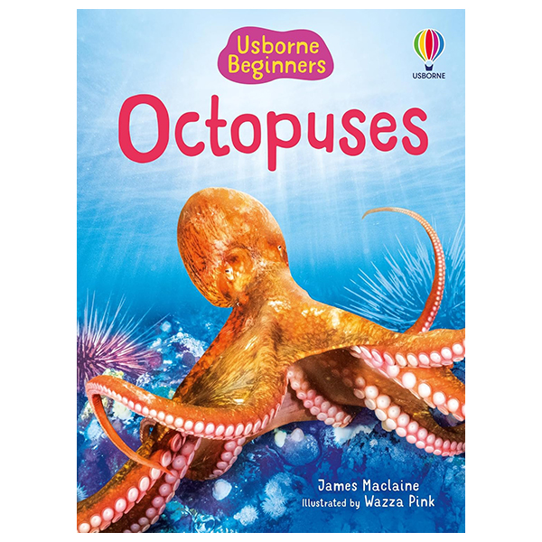 Beginners Octopuses