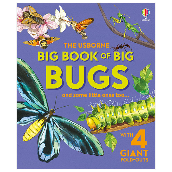 Big Book Of Big Bugs - Hard Back