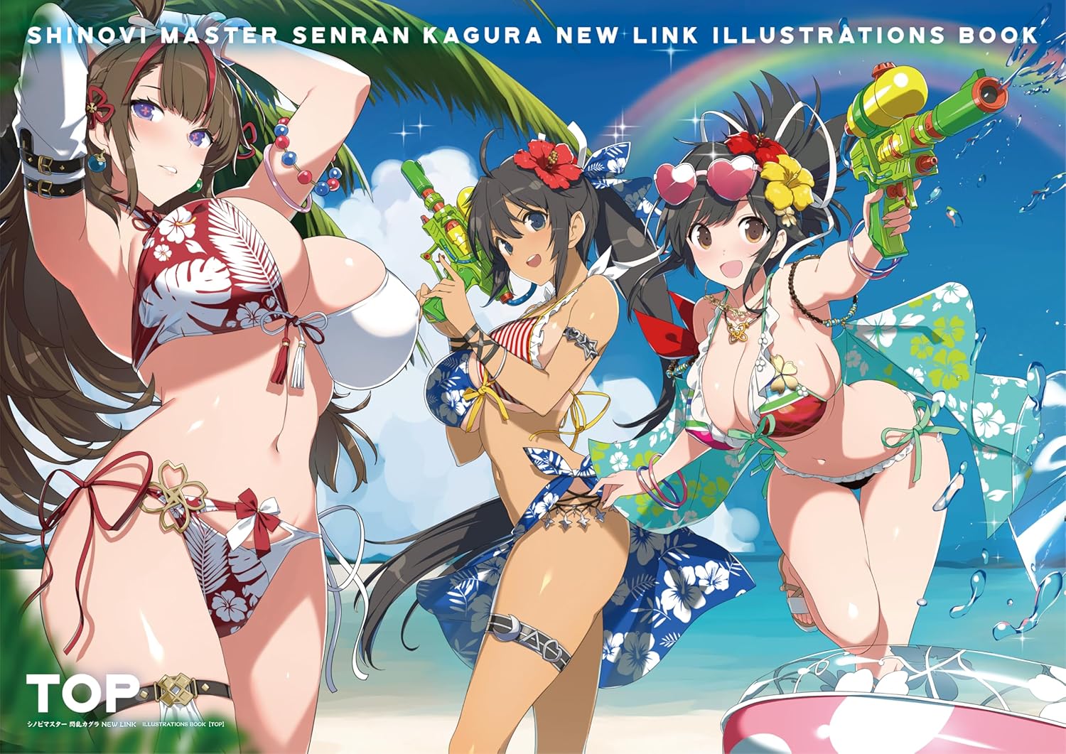 閃乱カグラ シノビマスター 公式画集 ビジュアルコレクション