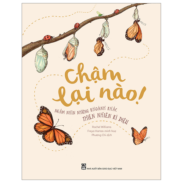 Chậm Lại Nào! Ngắm Nhìn Những Khoảnh Khắc Thiên Nhiên Kì Diệu