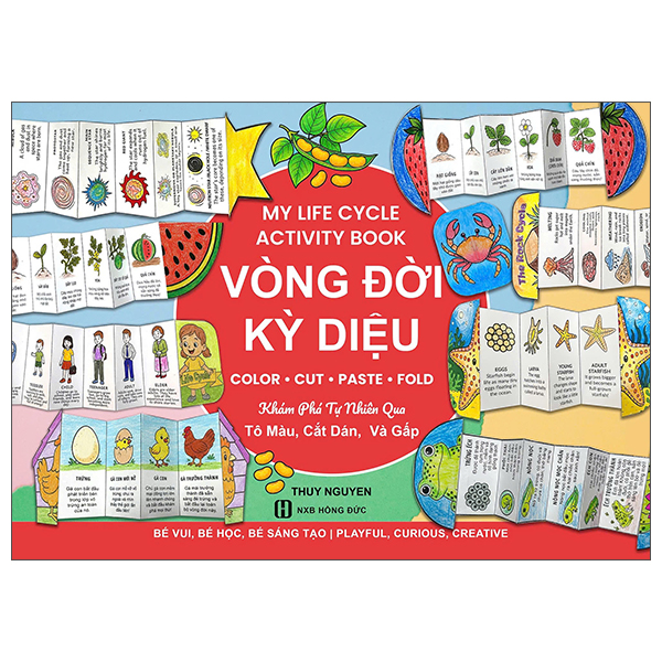 Sách My Life Cycle Activity Book - Vòng Đời Kỳ Diệu - Khám Phá Tự Nhiên Q - Nguyên Đức