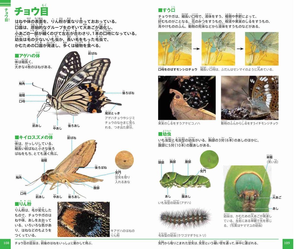 昆虫 (小学館の図鑑 NEOポケット) KONCHUU - FAHASA.COM