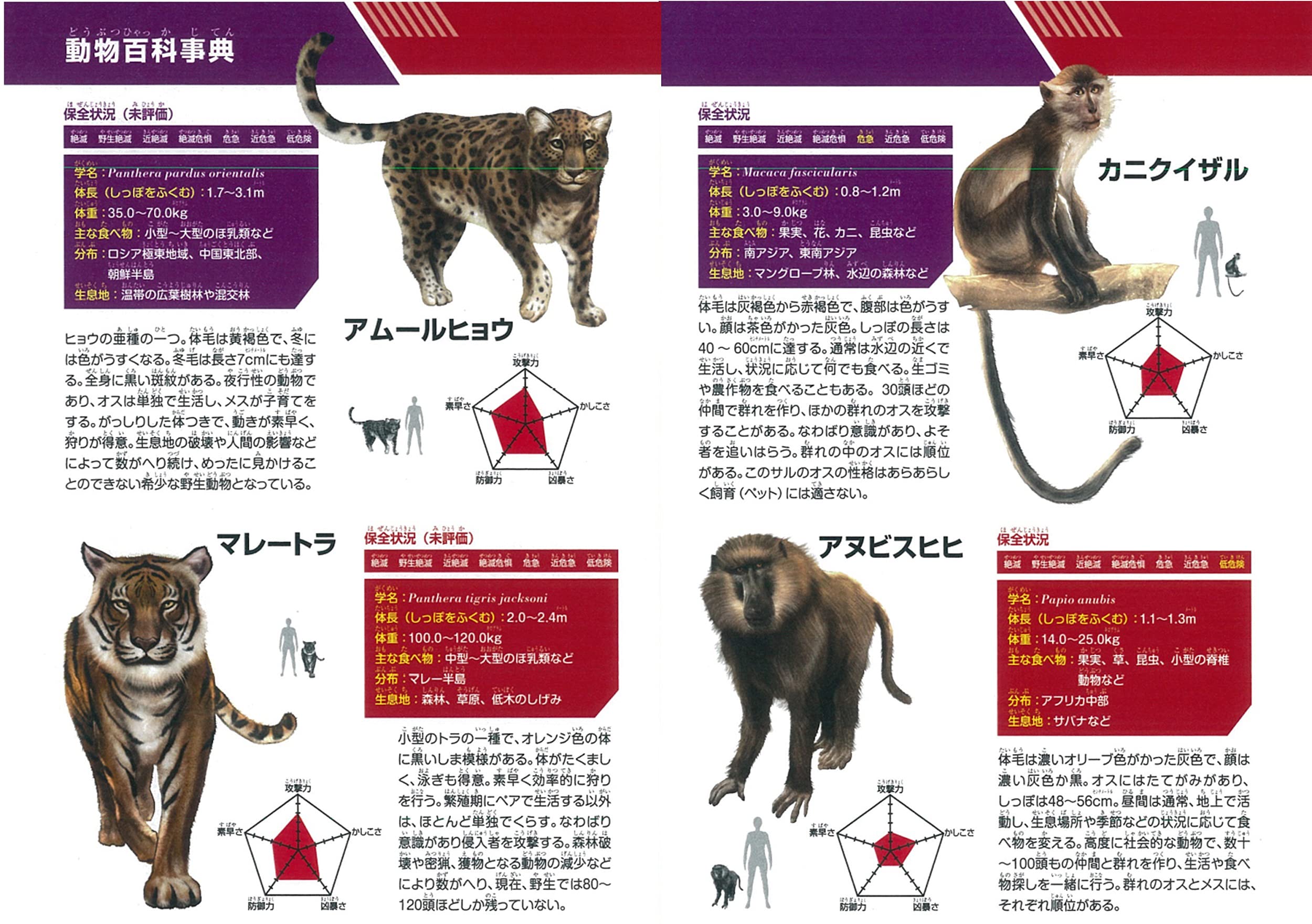 どっちが強い!? クロヒョウvsマンドリル まさかの空中決戦