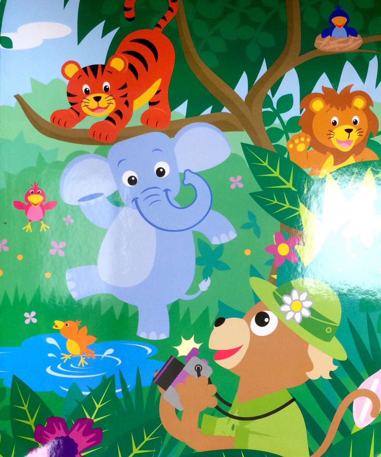 Baby Einstein Let's Look!: First Look and Find - FAHASA.COM