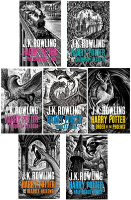 Combo Harry Potter Adult Hardback