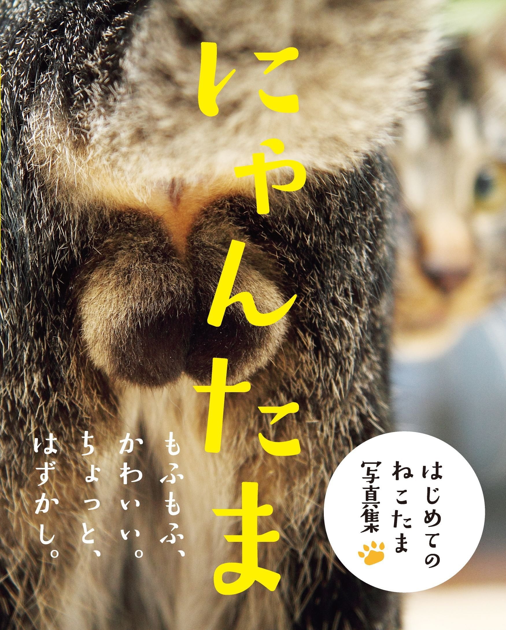 7/12 ニャンタ様　1ページ目 NYANTAMA - FAHASA.COM