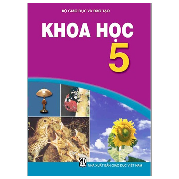 Khoa Học 5 (T9)