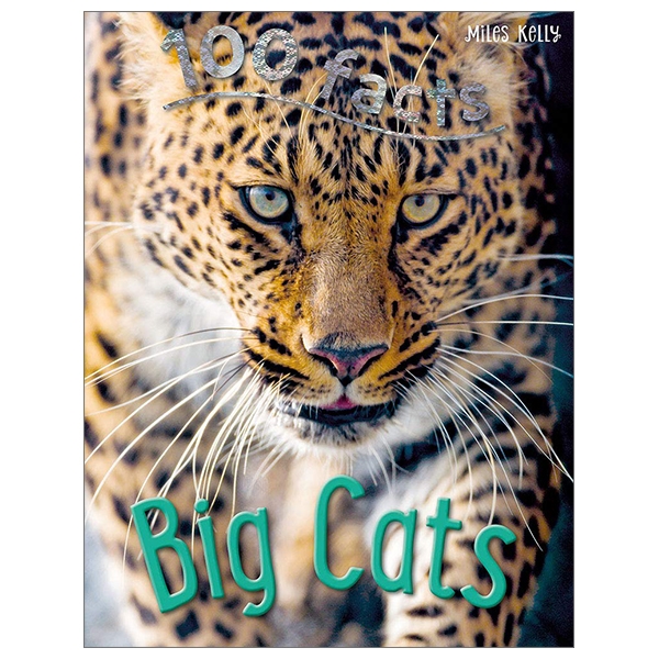 100 Facts Big Cats