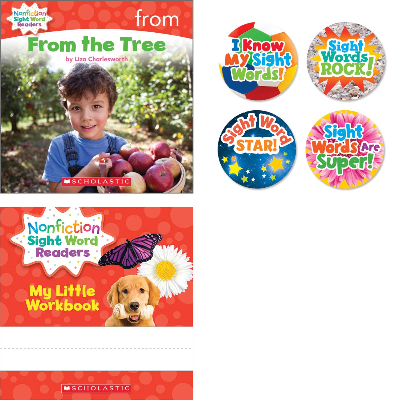 Nonfiction Sight Word Readers: Guided Reading Level A (Parent Pack ...