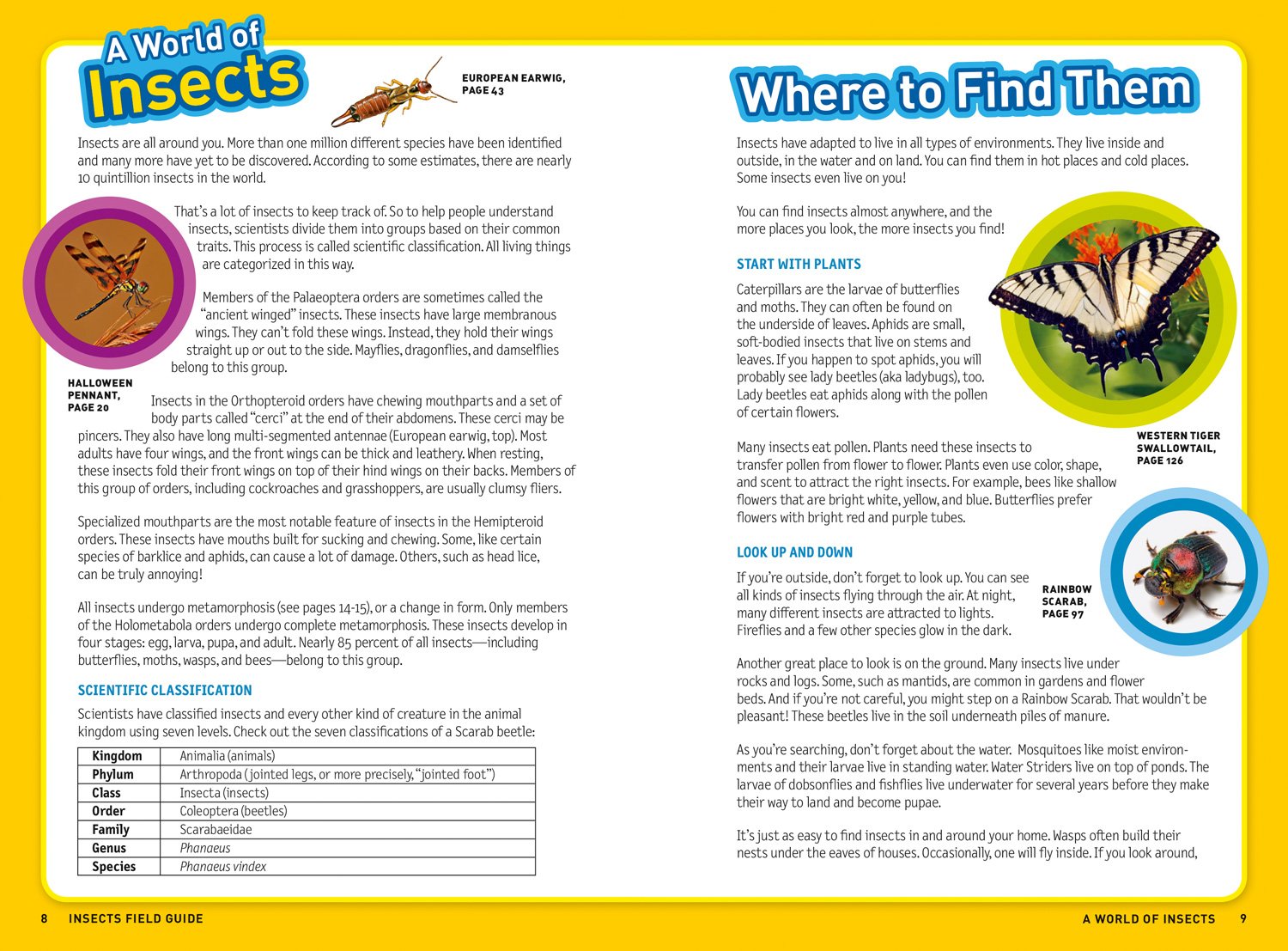 Insect Explorers Ultimate Explorer Field Guide: Insects - FAHASA.COM