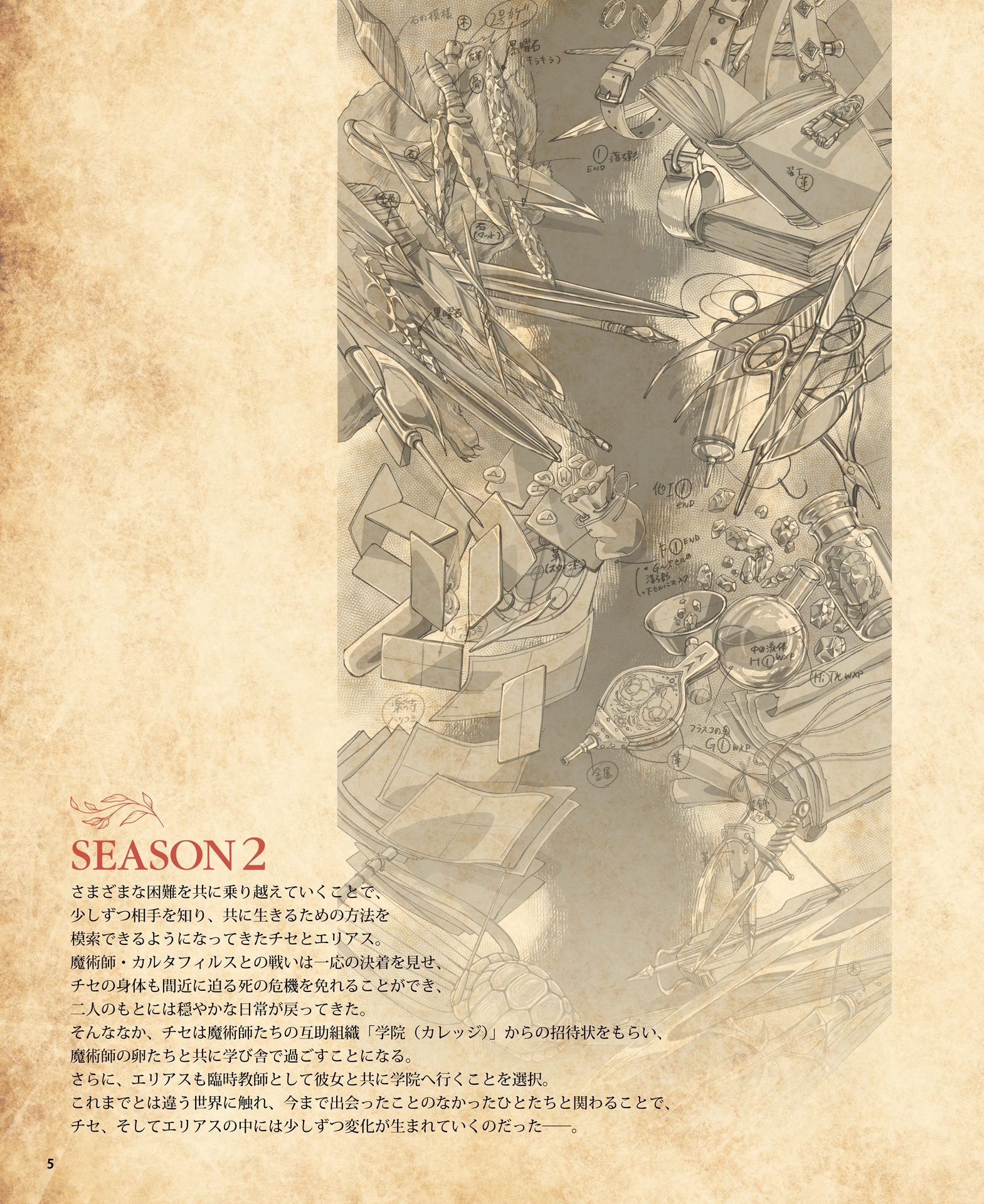 魔法使いの嫁　The Ancient Magus' Bride: The Ancient Magus' Bride (TV Series 2017–2023) - IMDb
