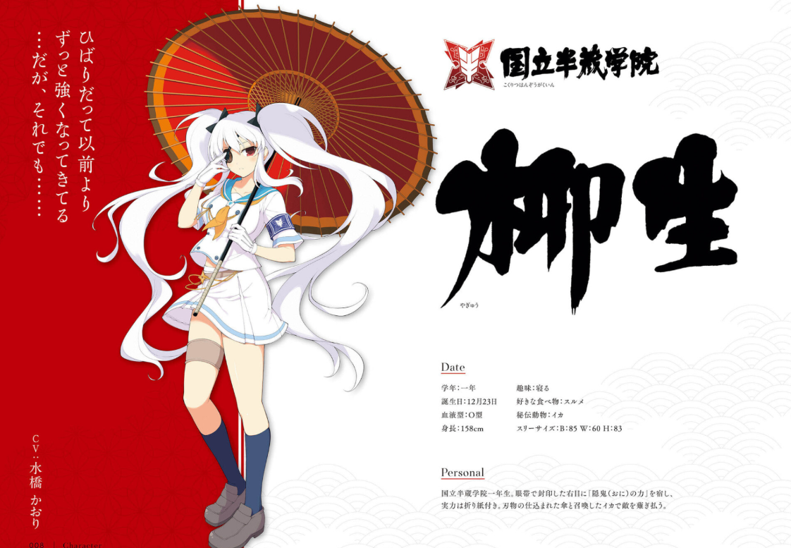 閃乱カグラ シノビマスター 公式画集 ビジュアルコレクション