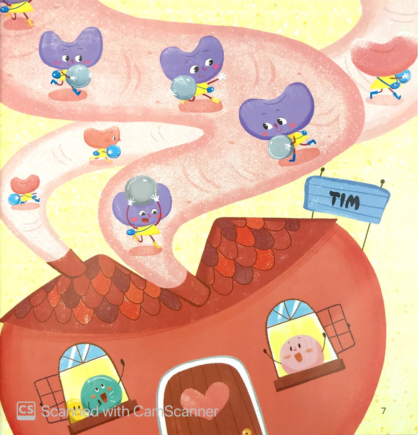Product image 7 