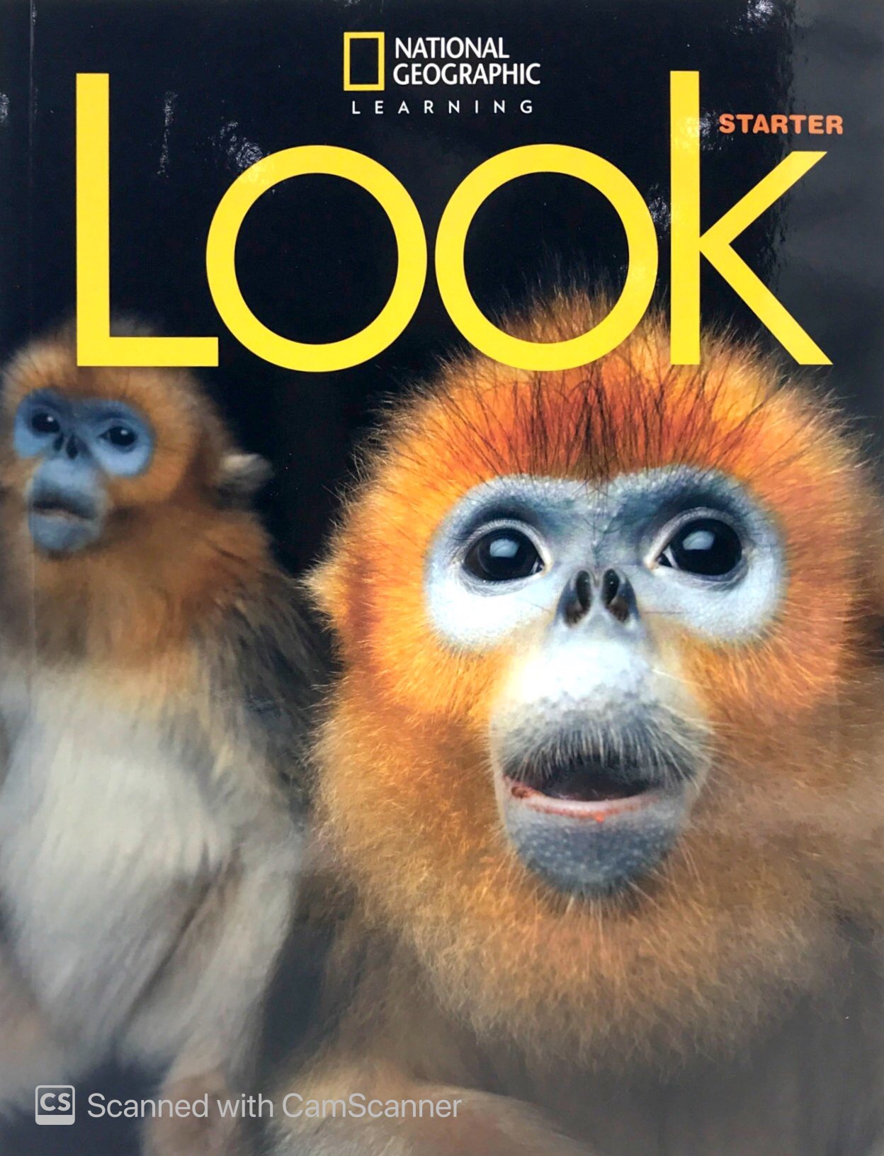 Look Starter (Look, American English) Student Book - FAHASA.COM