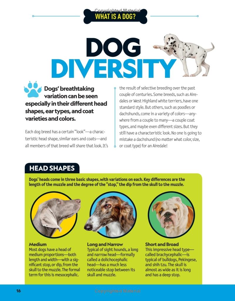 National Geographic What Dog Do I Look Like Photo Dogs Their
