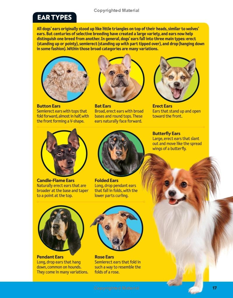 National Geographic Dog Breed Guide National Geographic Kids Dog