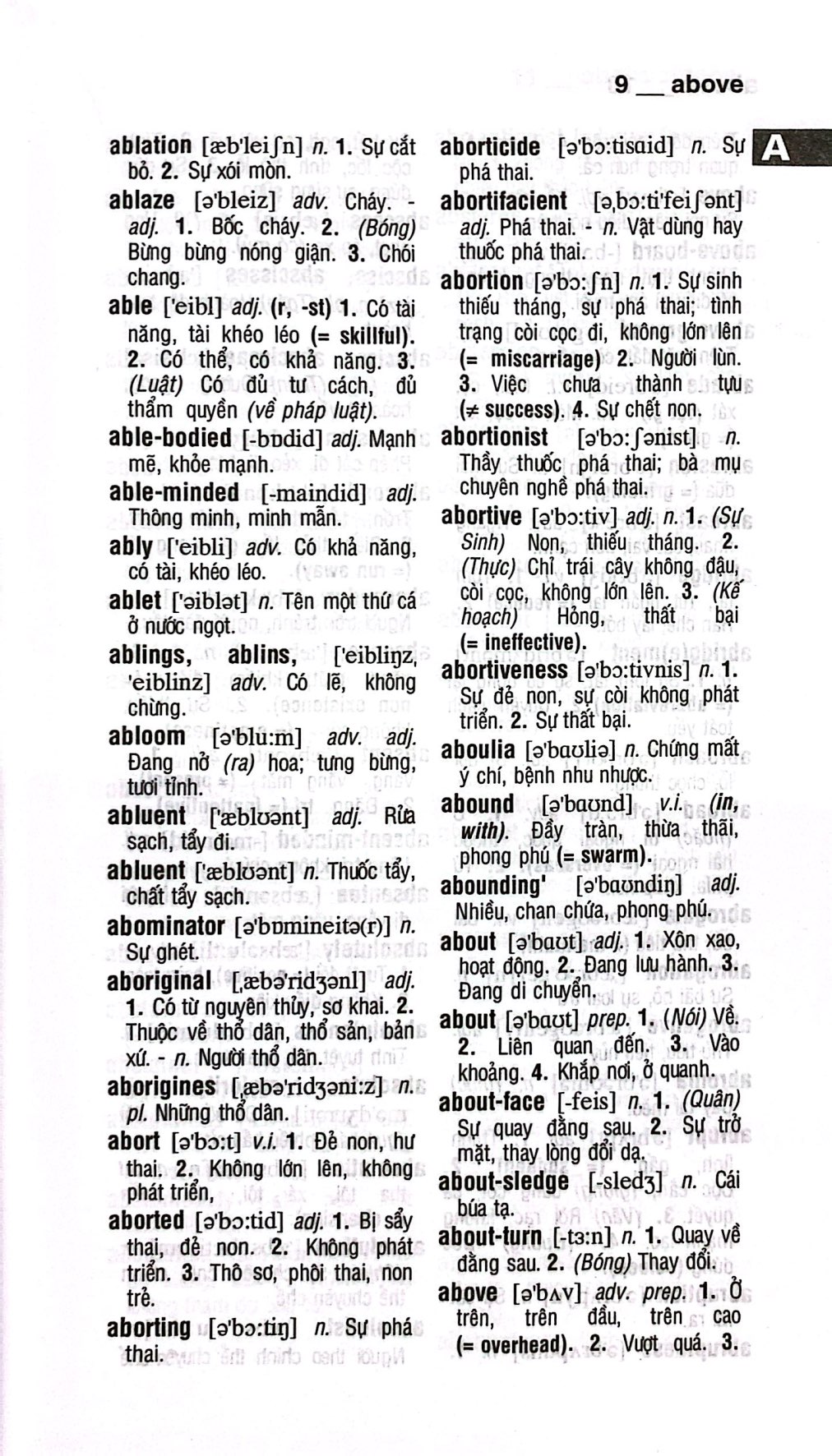〇裁断済 詳細 ベトナム語 辞典 Từ Điển Tương Giải Ngữ Pháp Cao Cấp: 느냐에 달려 있다 Sách tiếng Hàn MetaBooks