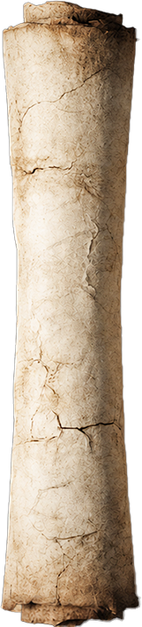 Cuộn Trái
