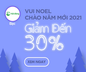 HaiDang_BAC300x250