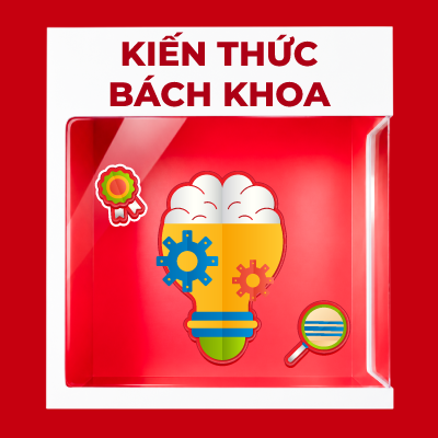 TanViet_T11_LDP_icon6